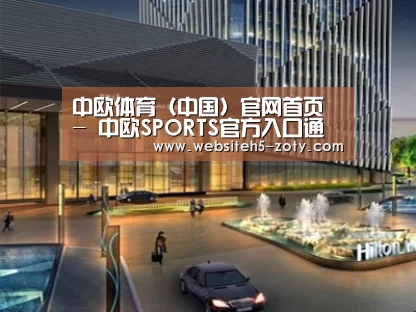 案例展示二