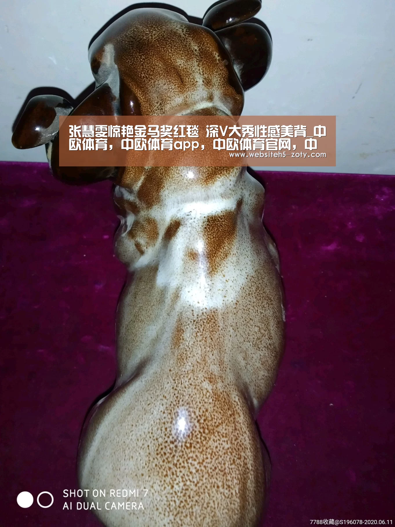 中欧体育，中欧体育app，中欧体育官网，中欧体育官网入口