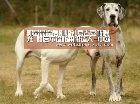 中欧体育，中欧体育app，中欧体育官网，中欧体育官网入口