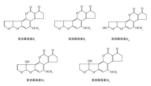 中欧体育，中欧体育app，中欧体育官网，中欧体育官网入口