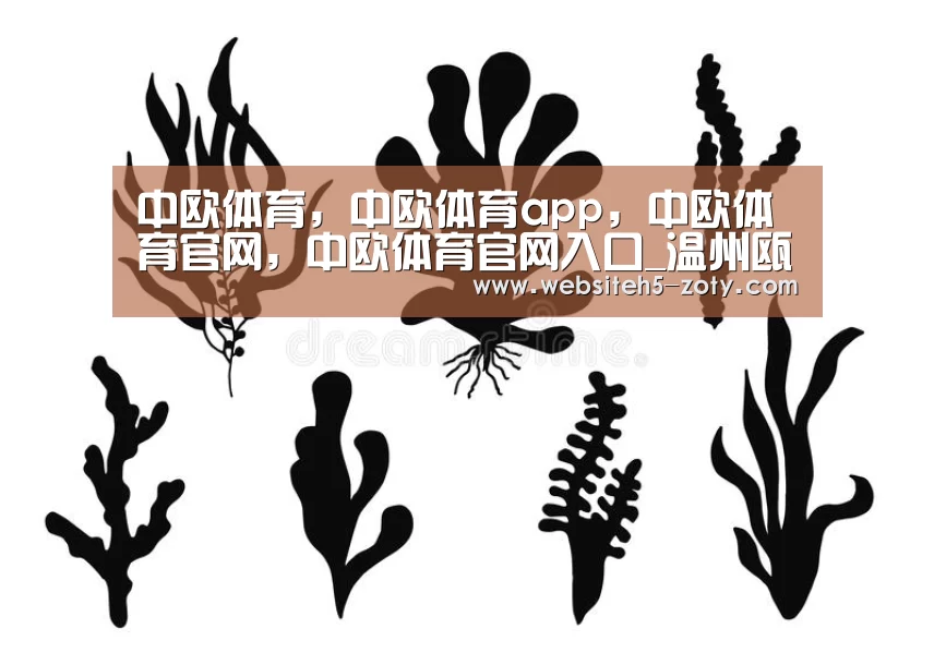中欧体育,中欧体育app,中欧体育官网,中欧体育官网入口_温州瓯海集中销毁非法烟花爆竹200余箱(图2) 中欧体育,中欧体育app,中欧体育官网,中欧体育官网入口