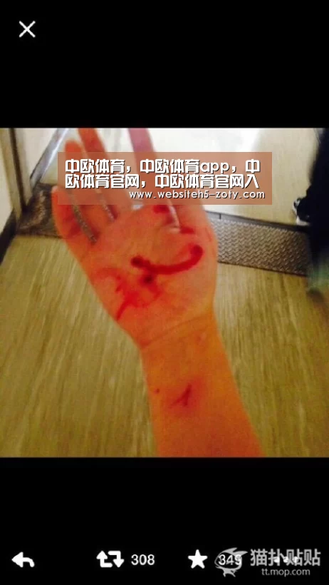 中欧体育，中欧体育app，中欧体育官网，中欧体育官网入口