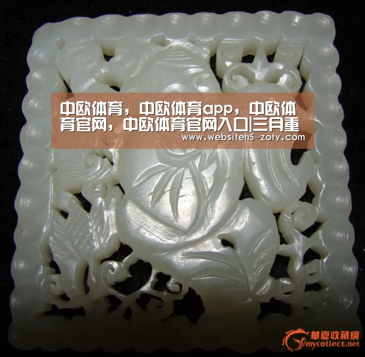 中欧体育，中欧体育app，中欧体育官网，中欧体育官网入口