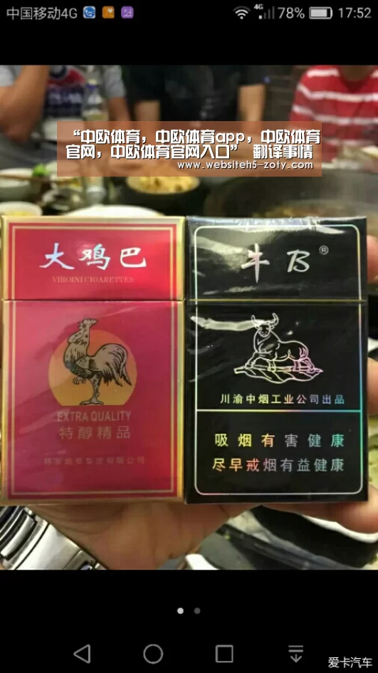 中欧体育，中欧体育app，中欧体育官网，中欧体育官网入口