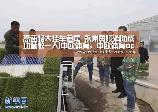 中欧体育，中欧体育app，中欧体育官网，中欧体育官网入口