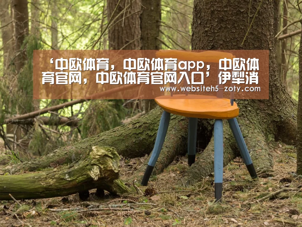 中欧体育，中欧体育app，中欧体育官网，中欧体育官网入口