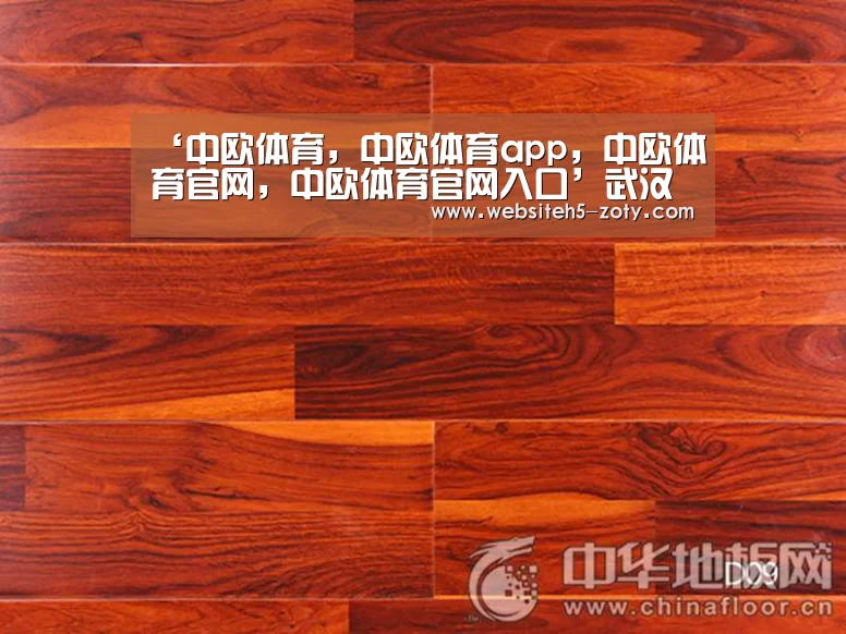 ‘中欧体育,中欧体育app,中欧体育官网,中欧体育官网入口’武汉火神山医院扩建至7万平方米 独家解密现场建设进展(图3) 中欧体育,中欧体育app,中欧体育官网,中欧体育官网入口